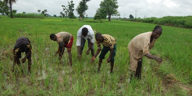 Court adjourn case between Maize farmers, Ecobank to Oct. 21