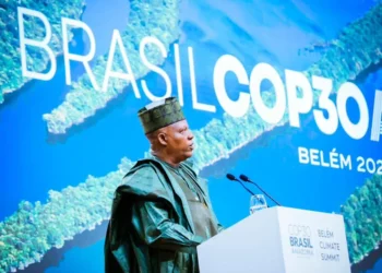 COP30: Nigeria calls for increased global climate financing to protect nature