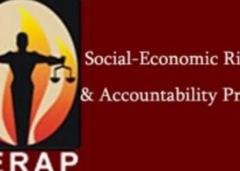 SERAP urges Tinubu to publish CTCs of Tax Laws