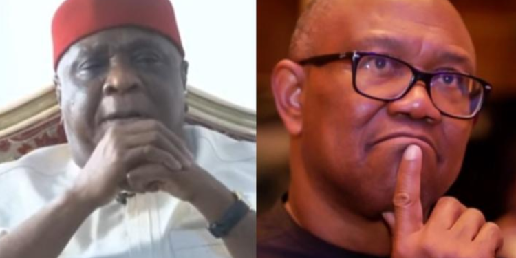 Peter Obi Came to My House 4 Days Ago and I Asked Him What He Can Do Better Than Tinubu Govt – Ulasi