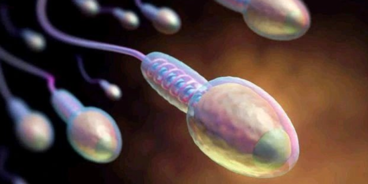 Fruits That Helps In Strengthening Male Reproductive Cells That Every Man Should Take Daily