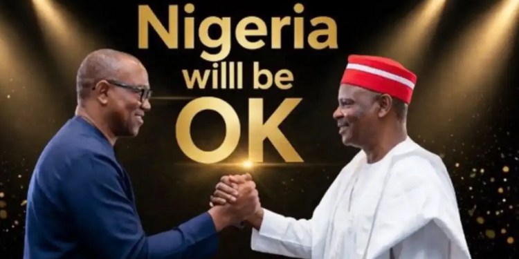 2027: NDC woos Peter Obi, Kwankwaso with presidential ticket