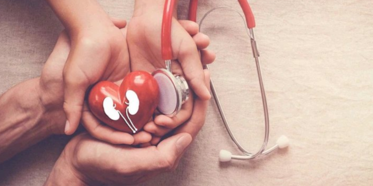 You Are Killing Your Kidney Slowly With These 7 Practices