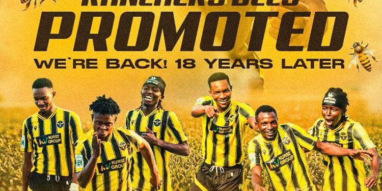 Ranchers Bees FC gain promotion to Nigeria Premier League