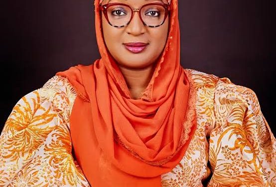 Kwara Is Best Place To Give Birth And Raise Children In Nigeria — Health Commissioner, Amina El-Imam