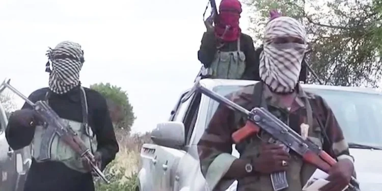 Outrage as Boko Haram terrorists demand ₦5bn ransom for 416 victims abducted in Borno