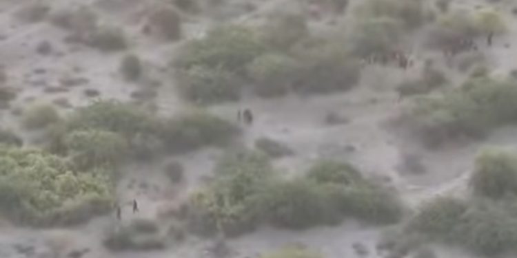 Over 30 ISWAP Fighters Buried After Deadly NAF Airstrikes in Lake Chad Region