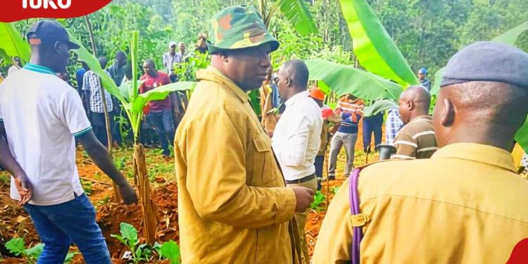 Vihiga father flees after allegedly killing, burying own 2-year-old child in his compound