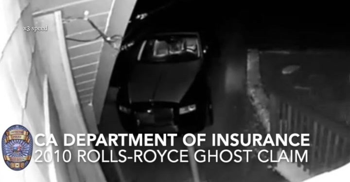 Fraudster dresses as bear to scratch luxury cars in insurance scam | News