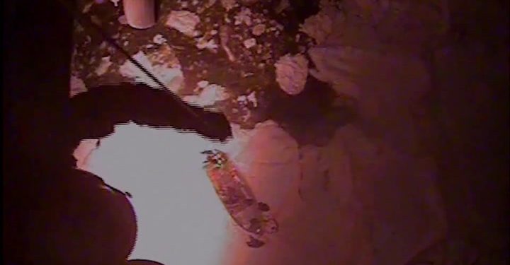 Nine-year-old and three adults rescued from ice floe after 24 hours | News