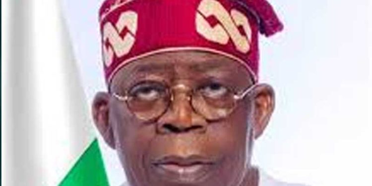 Tinubu Makes New Board, Management Appointments For NECO, NBTE, Federal Poly, Sendam, National Library