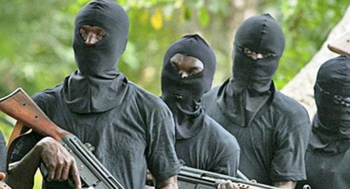 Terrorists kill 20 in Borno, Adamawa border communities