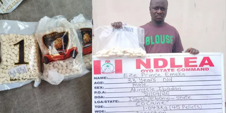 Businessman excretes 45 cocaine wraps as NDLEA seizes Captagon in Kwara