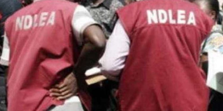 NDLEA Intercepts ‘Terror Drug’ Captagon in Kwara, Arrests Suspects Nationwide in Major Anti-Narcotics Sweep