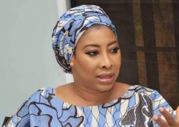 Nnenna Ukeje And ADC National Legislators Forum: Nigeria’s Latest Bunch of Conspiracy Theorists