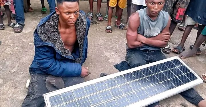 Local hunter foils attempt to steal solar streetlights in Bayelsa