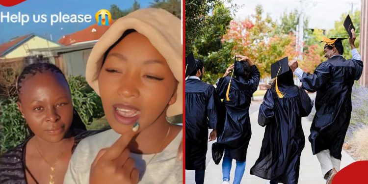 Nairobi graduates frustrated after job-hunting all day without success: "No vacancies"