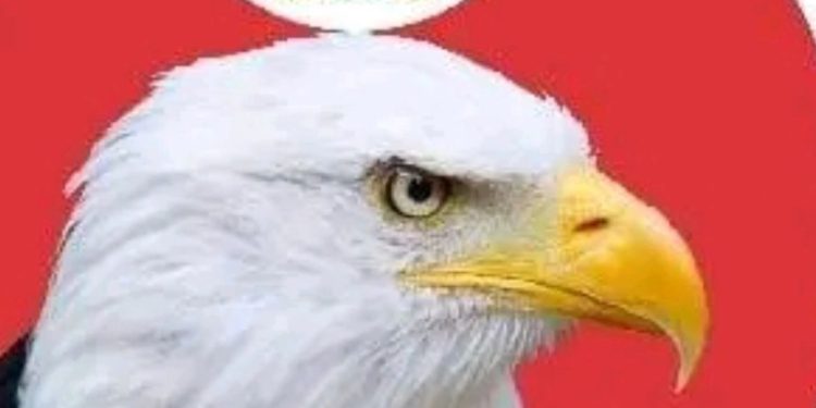 Public Alert About Impersonators, Fake EFCC Sting Operations