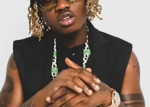 Zlatan Ibile’s ₦5 Million offer for a French teacher creates buzz, amusement