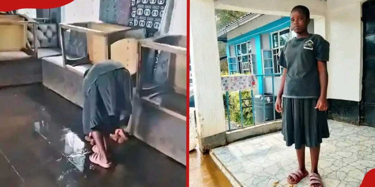 Kericho well-wisher offers to clear fees for teen who cleaned clubs to stay in school