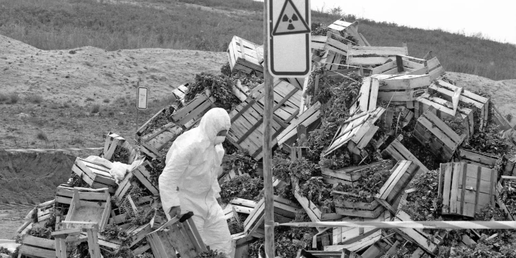 Secret Stasi files reveal extent of Soviet misinformation over Chernobyl nuclear disaster