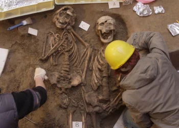 New secrets of human evolution unlocked in study of ancient DNA from Europe and Near East