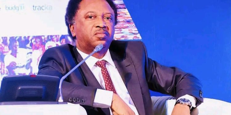 "When I Was In The Senate, Each Time I Speak About Killings, Northern Senators Would Attack Me–Sani