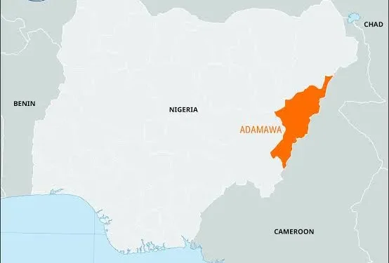 Hunter Dies After Accidental Explosion During Patrol in Adamawa