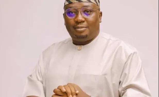 Power Minister Adelabu Set to Resign in Coming Days – Special Adviser