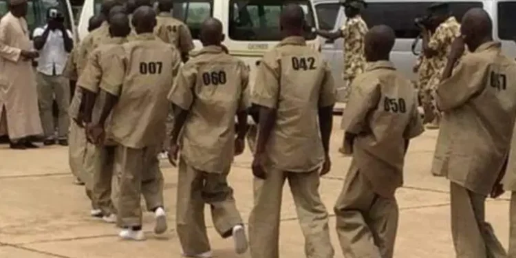 BREAKING: Reintegration of Repentant Terrorists: Nigerians Furious