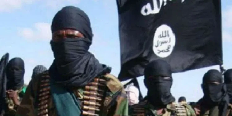 Boko Haram degraded, now weakened – FG