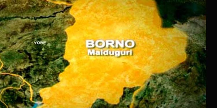 Violence in Borno Displaces over 5,000 as Humanitarian Needs Surge in Pulka