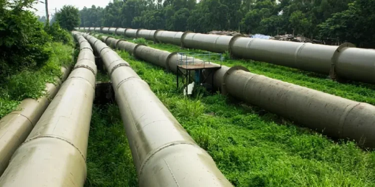 Nigeria loses $226.7bn to 33-year Ogoni Oil shutdown — PINL