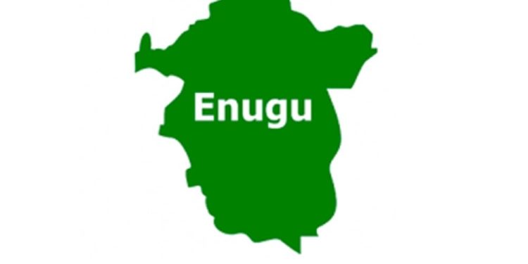 Group Demands Female Senator For Enugu North Senatorial District