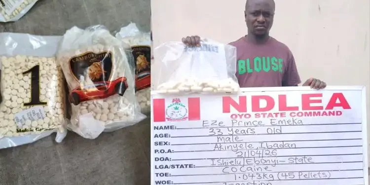 NDLEA intercepts 10,000 captagon pills in Kwara, arrests businessman