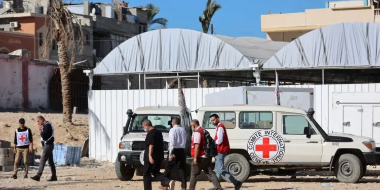 More than 38,000 women, girls killed in Gaza war by end of 2025 – UN