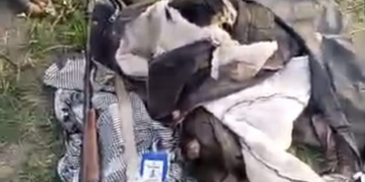 Elephant invades Oyo community, kills one