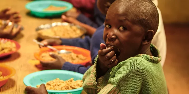 Two-thirds of global hunger concentrated in 10 countries – Report