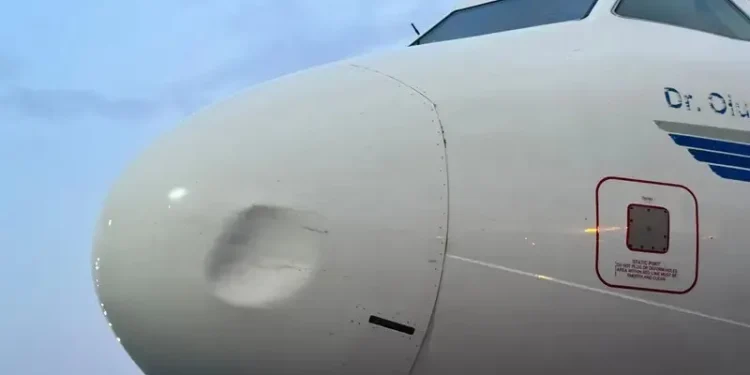 United Nigeria Air withdraws airbus after sixth bird strike hits company