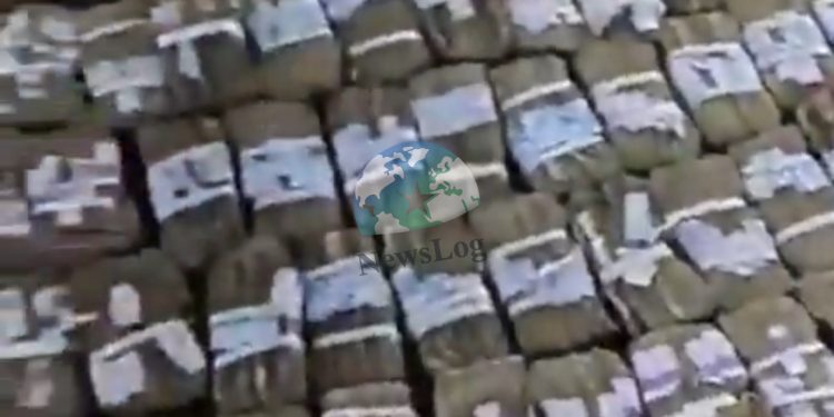 “Nobody Can Touch Us” — Bandits Throw A Party On Social Media, Showing Off Millions Stolen From Kidnap Victims While Nigerian Government Watches