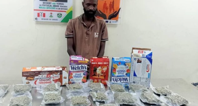 NDLEA Busts Drug Rings, Intercepts Cocaine Hidden in Food Flasks, Arrests Fashion Designer, Others