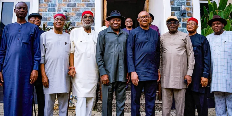Why I met with Jonathan – Peter Obi