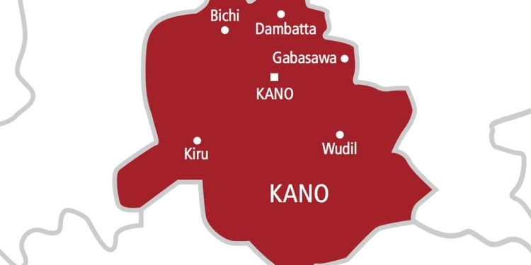 We won’t gamble with Kano north – Gumawa