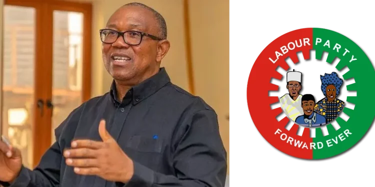Labour Party rules out Peter Obi’s return for 2027 presidential ticket