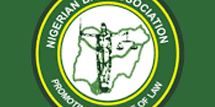 NBA Probes Asaba Lawyer Over Alleged Impersonation, Breach of Trust