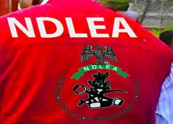 NDLEA seizes cocaine concealed in food flask