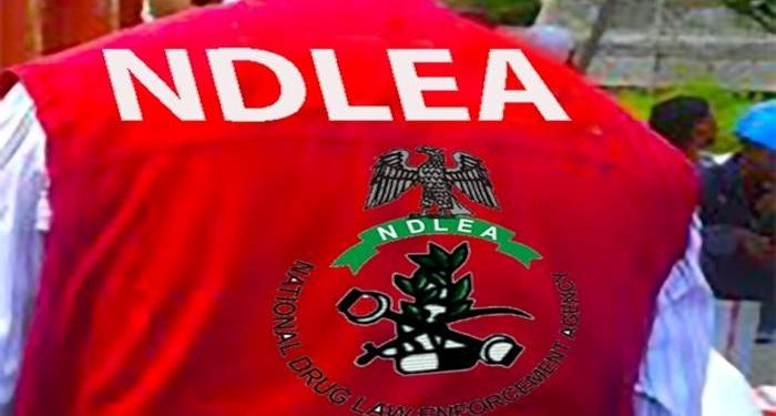 NDLEA seizes cocaine concealed in food flask