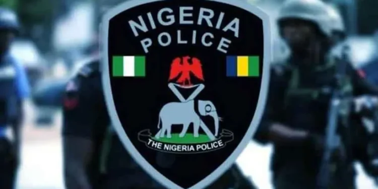 Police Partner with NIPSS to Advance Research, Policy Formulation, Leadership Devt