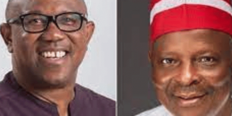 Obi, Kwankwaso Movement Announces National, State Structures