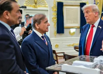 ‘Don’t trust Pakistanis’: US think tank warns Donald Trump, flags Asim Munir as ‘massive red flag’